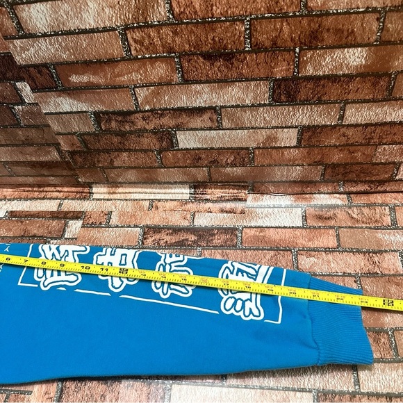 Nickelodeon Avatar The Last Airbender Hoodie Sweatshirt Size M - Picture 7 of 9